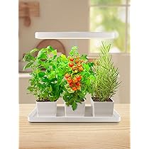 71ch7+34OiL._AC_UL210_SR210,